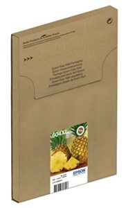 Epson 604XL Pineapple