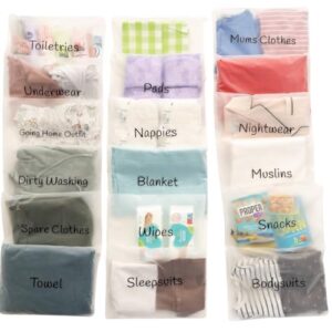 22 x Maternity Hospital Bag Organiser Pouches | Hospital Bag Maternity Essentials for Newborn Baby Changing Bag or Baby Hospital Bag Organiser Pouches | 38 x 28cm Hospital Organiser Pouches Labelled