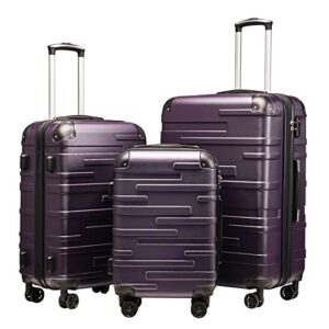 COOLIFE Hard Shell Suitcase with TSA Lock and 4 Spinner Wheels Lightweight 2 Year Warranty Durable (Grayish Purple
