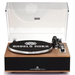 All-in-One Vinyl Record Player