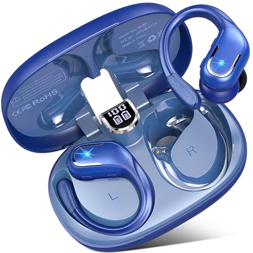 Wireless Earbuds