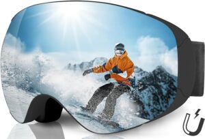 Ski Goggles