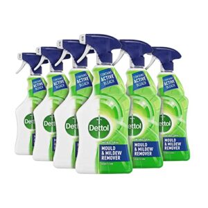 Dettol Antibacterial Mould Spray and Mildew Remover