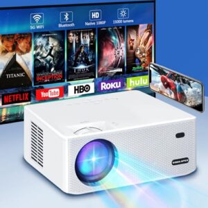VISULAPEX Projector Pro