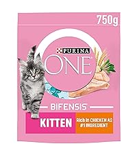 PURINA ONE BIFENSIS PET FOOD CAT FOOD DRY
