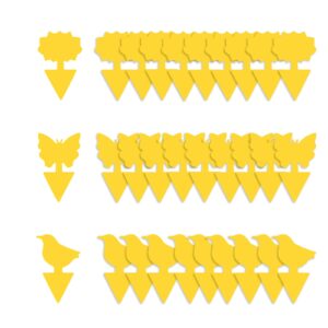 aonova Fruit Fly Traps