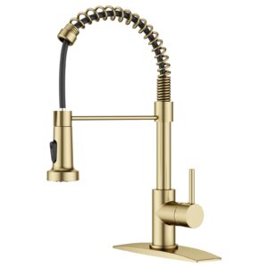 FORIOUS Gold Kitchen Tap