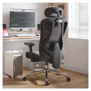 Hbada Ergonomic Office Chair Adjustable Backrest Height