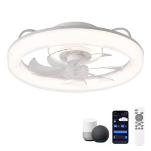 CHANFOK 20'' Ceiling Fans with Lights