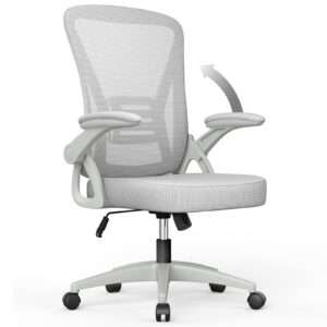 aspaluro Ergonomic Desk Chair with 90° Flip-up Armrest Lumbar Support