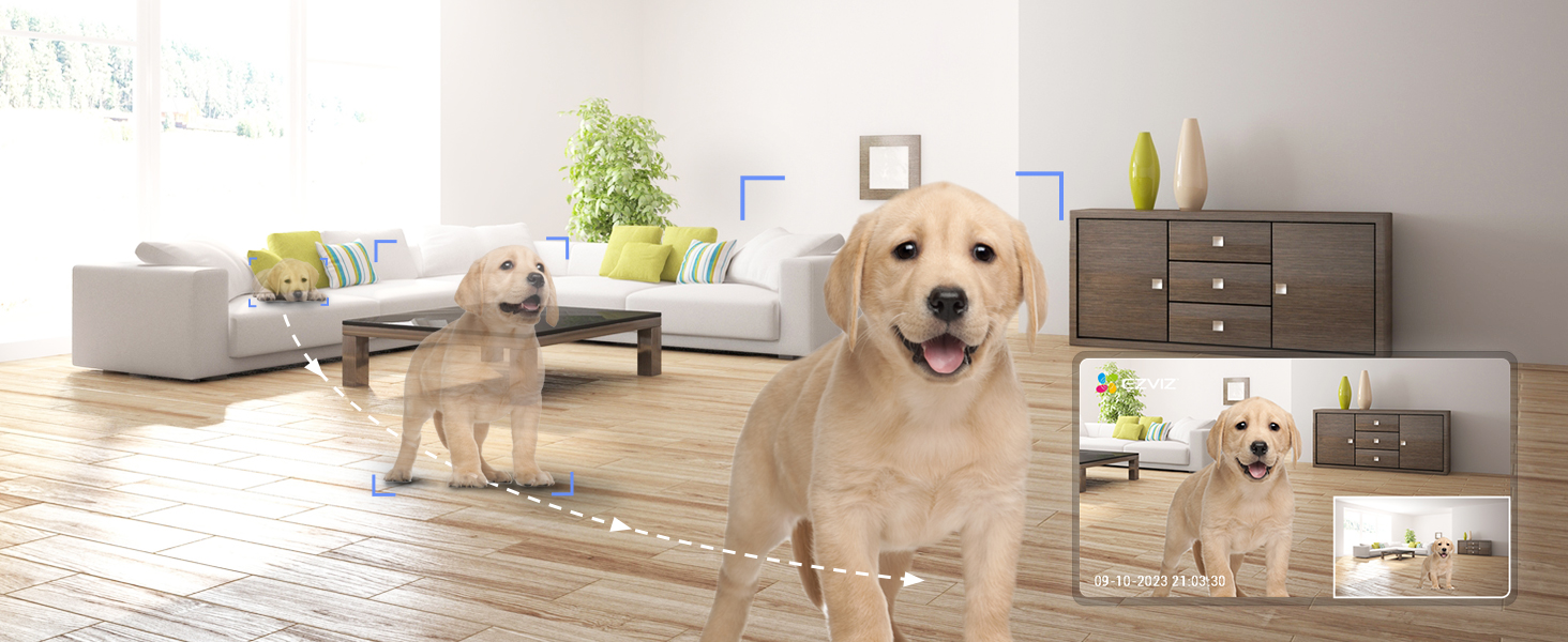 motion detection camera