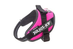 Julius-K9