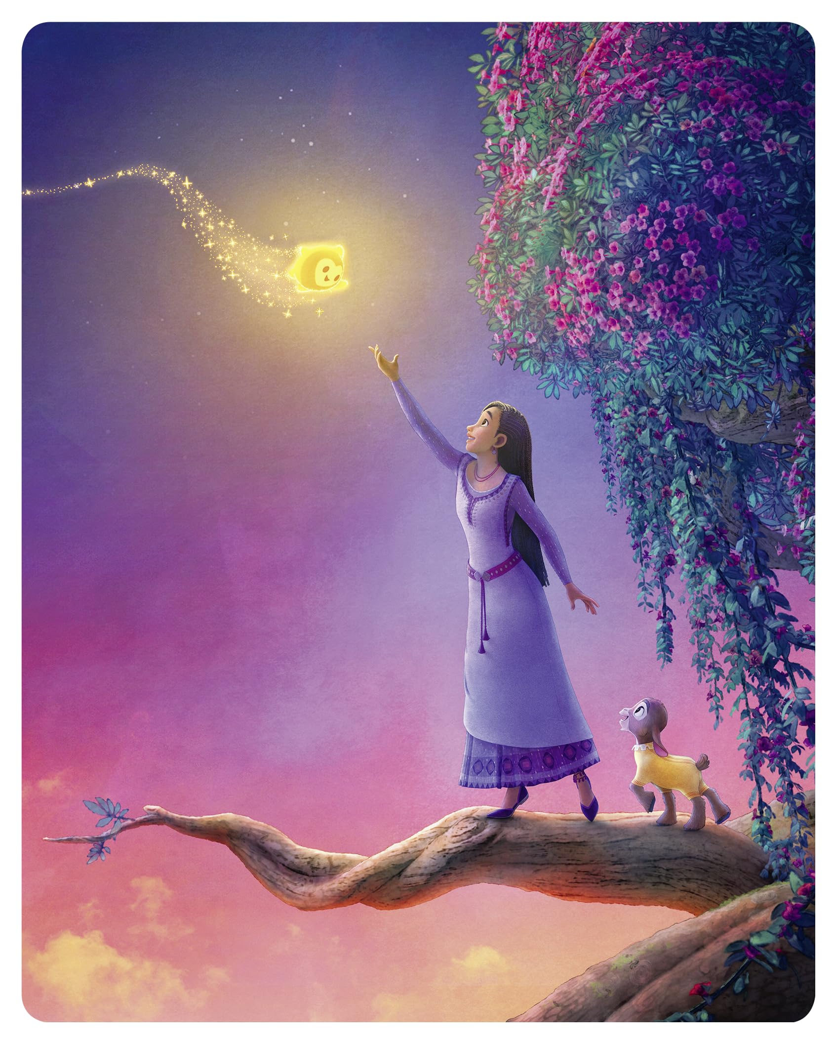 Disney's Wish Steelbook [Blu-ray] [Region Free]