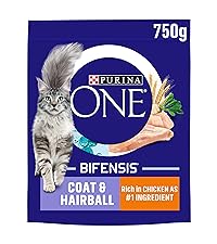 PURINA ONE BIFENSIS PET FOOD CAT FOOD DRY