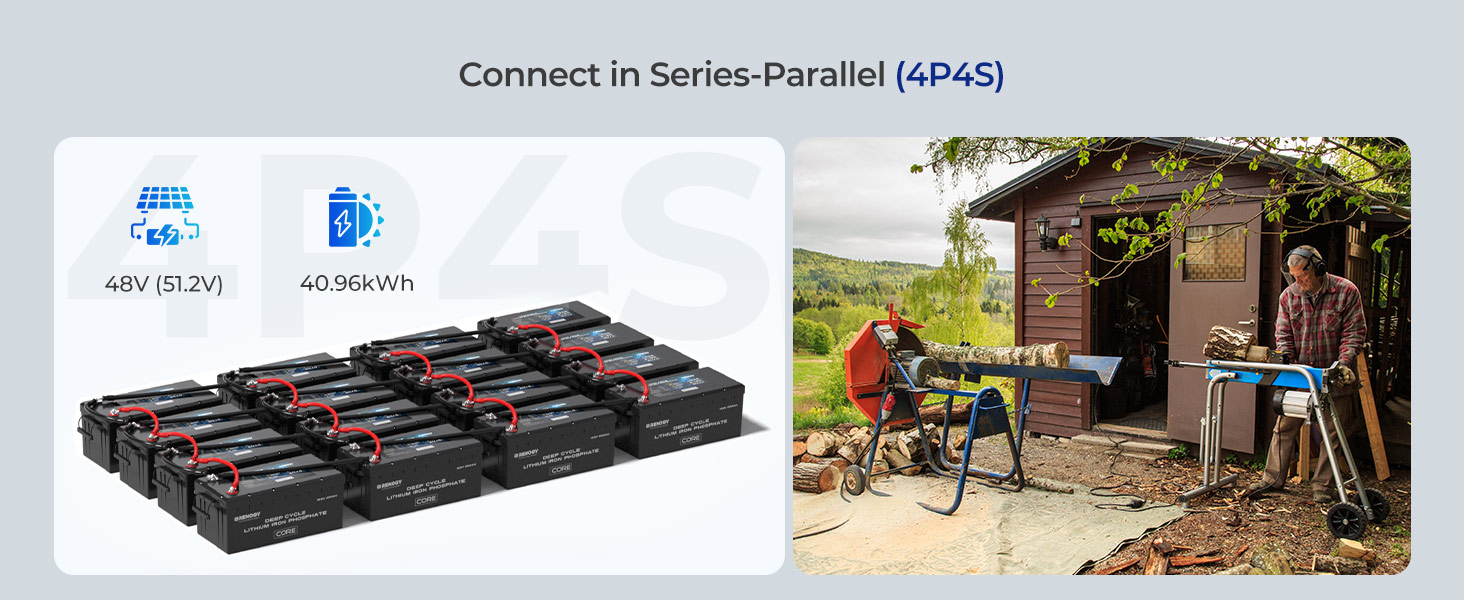 Renogy 12V 200Ah Core Series Deep Cycle Lithium Iron Phosphate Battery