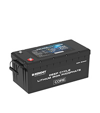 Renogy 12V 200Ah Core Series Deep Cycle Lithium Iron Phosphate Battery