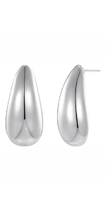 Silver Bottega Earrings