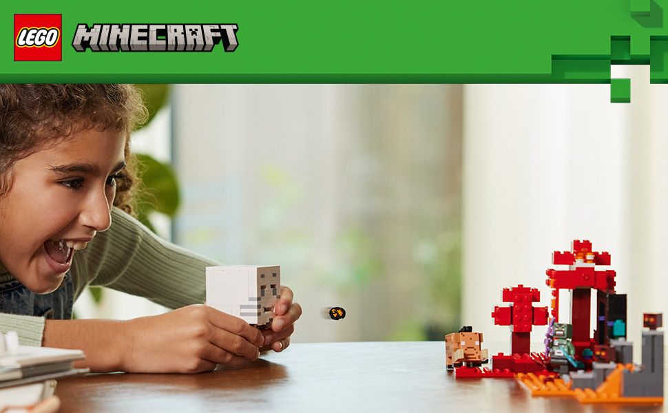 21255_Minecraft