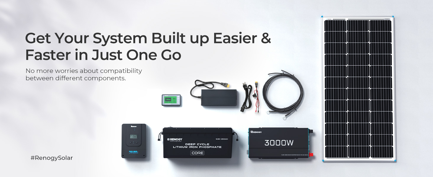 Renogy 12V 200Ah Core Series Deep Cycle Lithium Iron Phosphate Battery