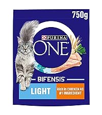 PURINA ONE BIFENSIS PET FOOD CAT FOOD DRY