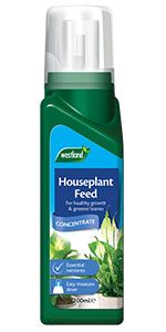 Westland Houseplant feed