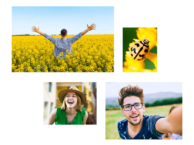 Four Yellow bright Images