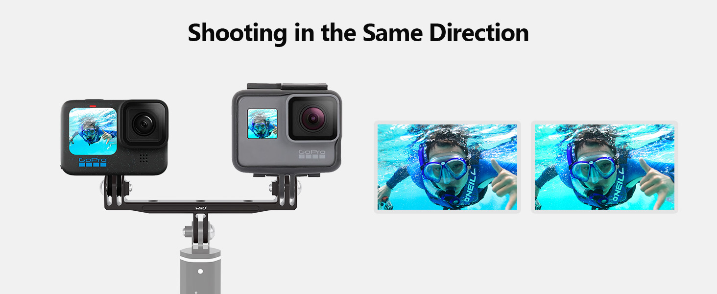 gopro dual mount