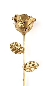 Golden, silver or bronze eternal rose. Anniversary collection