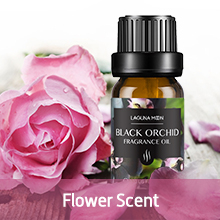  Fragrance Oils Gift essential oils set