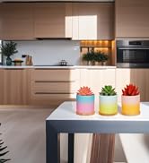 7.5CM Succulent Plant Pot Set of 3, Gifts for Women Her Mum Girlfriend Christmas, Small Ceramic C...