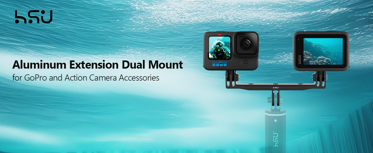 gopro dual mount