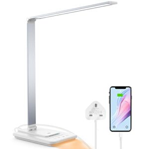 IAB LED Desk Lamp