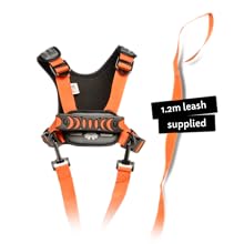 Hobbledehoo Harness