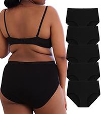 Maxi Briefs Plus Size Knickers