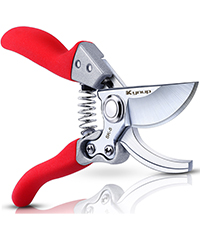 Pruner Shears