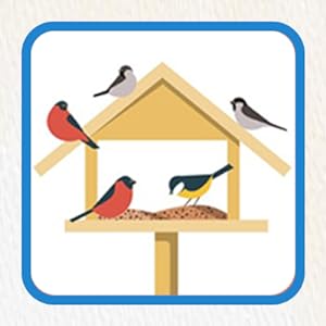 Sunflower Heart Seed