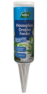 Westland Houseplant feeder