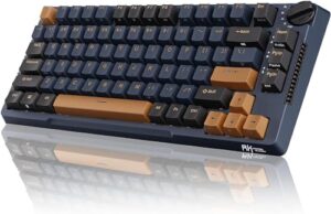 RK ROYAL KLUDGE H81 Wireless Gaming Keyboard
