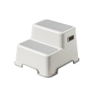 Double Step Stool for Kids