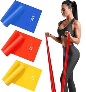 Haquno 3 Pack Exercise Resistance Bands; Set with 3 Resistance Levels;1.8M Exercise Bands Resistance for Women and Men. Ideal for Strength Training