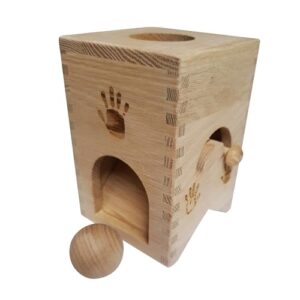 Family of Five Oak Permanence Box Sensory Montessori Toys