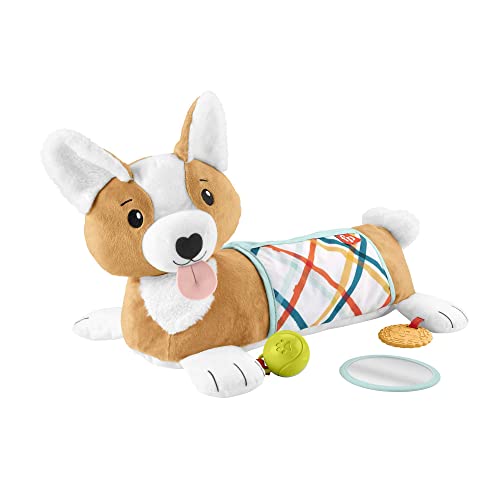 Fisher-Price Baby Tummy Time Toys