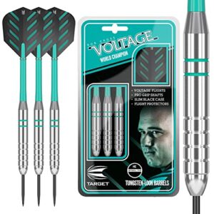 Target Darts Rob Cross Silver Voltage 24G Brass Steel Tip Darts Se