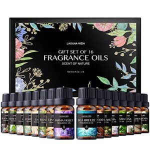 Lagunamoon top 16 Fragrance Oils Gift Set Aromatherapy Premium Grade Oils Kit Fragrance Oils for Candle Making