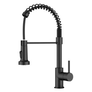 FORIOUS Black Kitchen Tap