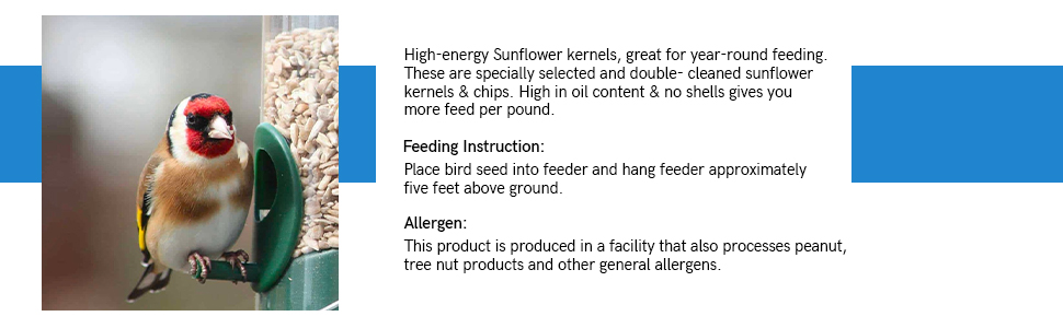 Sunflower Heart Chips