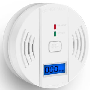 Carbon Monoxide Detector