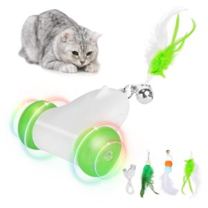 PETTOM Cat Toys Interactive for Indoor Cats