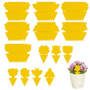 70 PCS Fruit Fly Trap