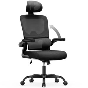 aspaluro Office Desk Chair